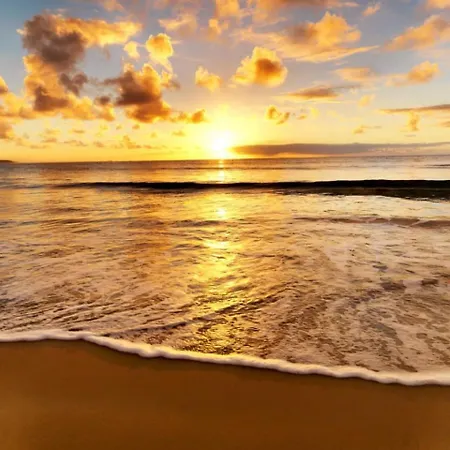 Dorfgroden 04 * וגנרוגה